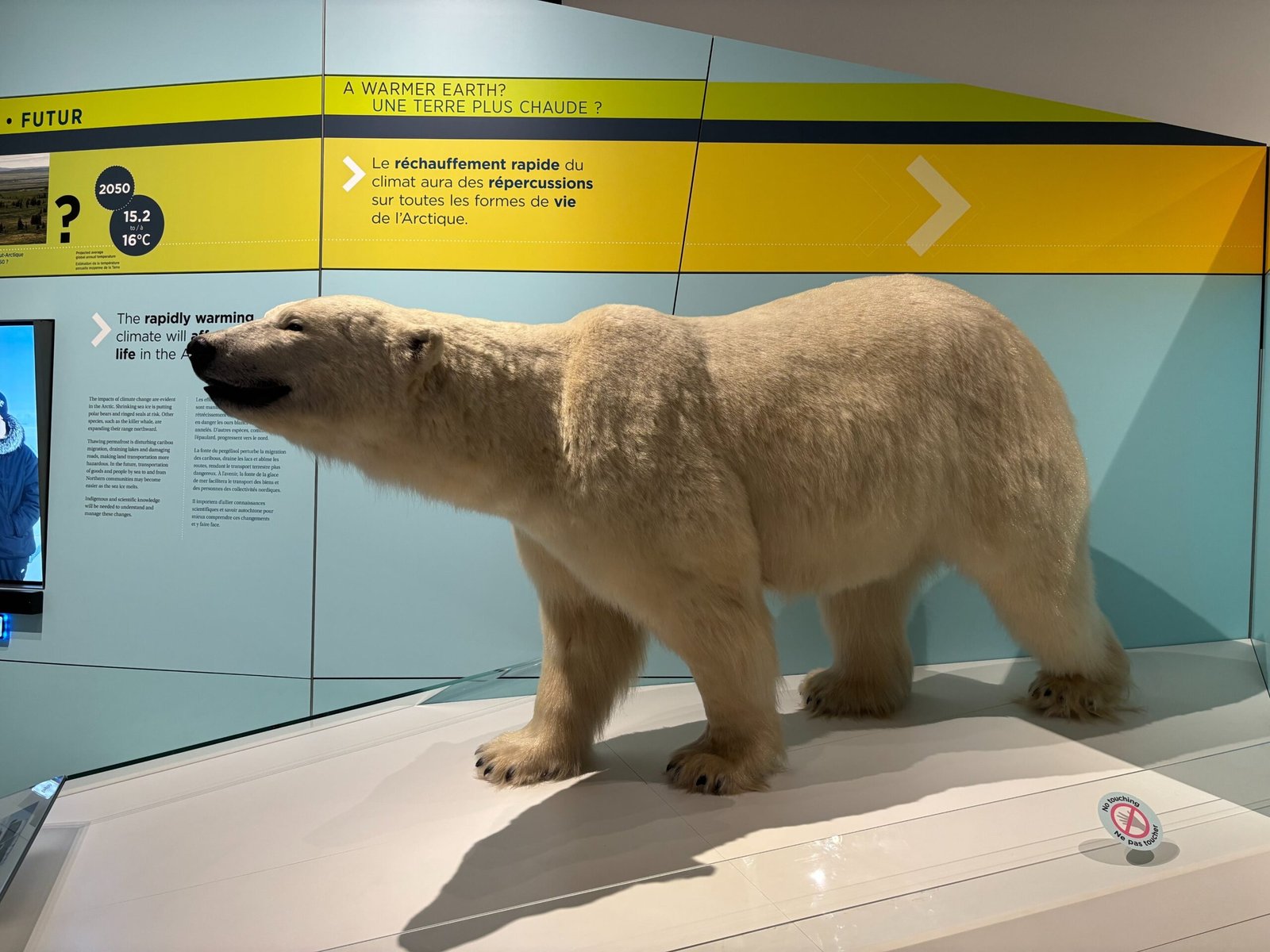 Polar bear model in front of climate change data on an Arctic exhibit wall