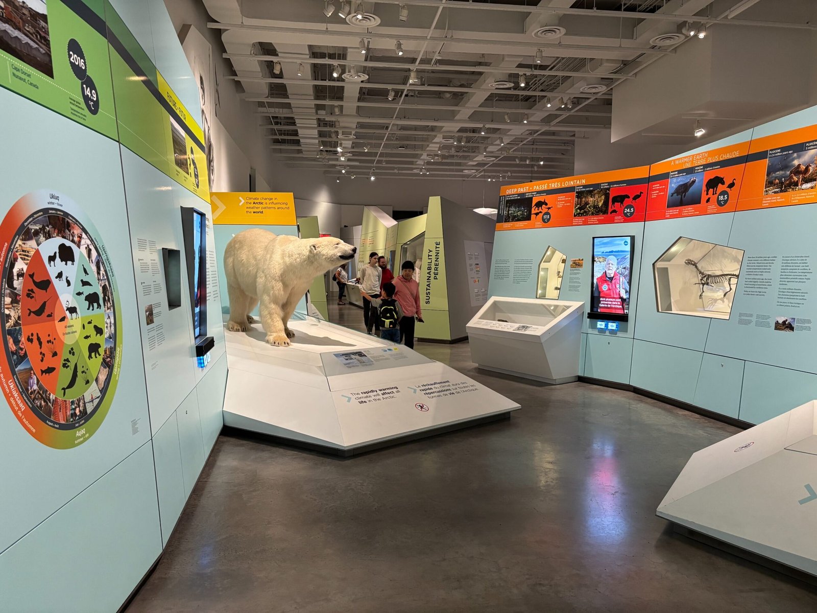 Wide view of Arctic exhibit with polar bear and information panels on climate impact