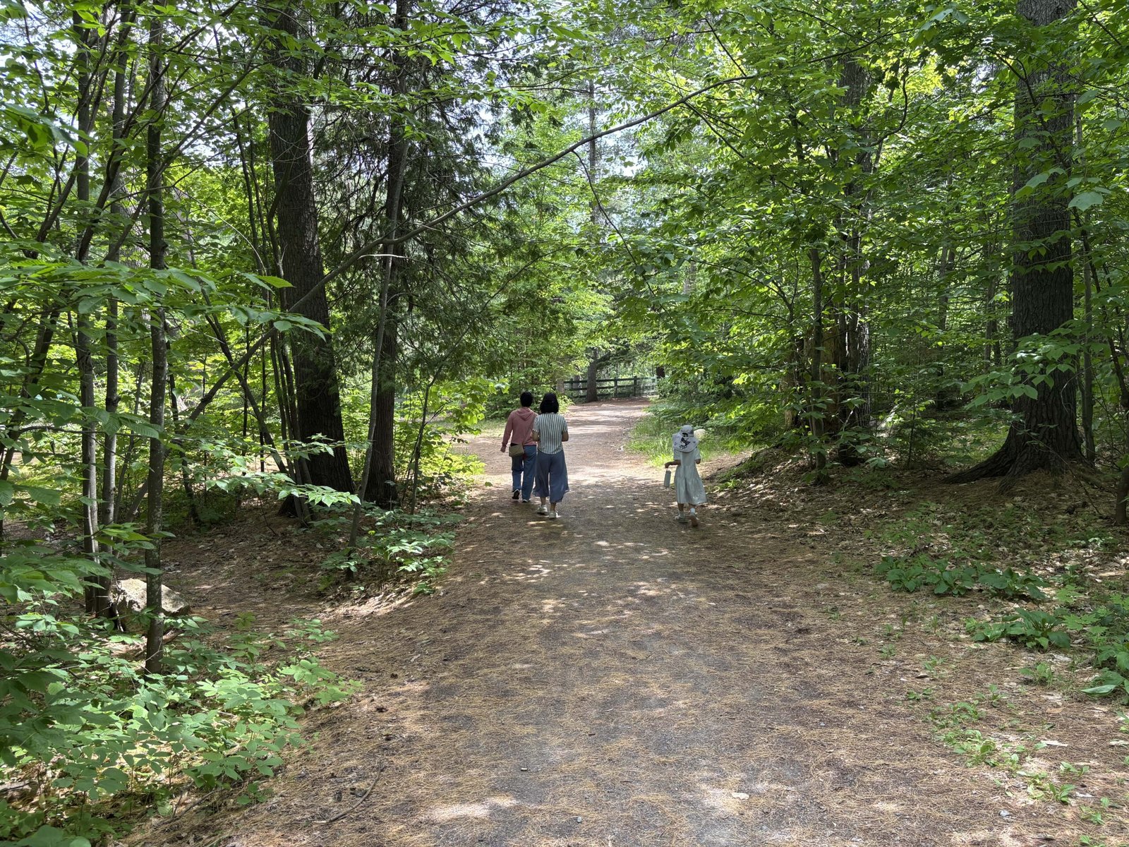 Family walking along a shaded forest path in Parc des Chutes Dorwin.