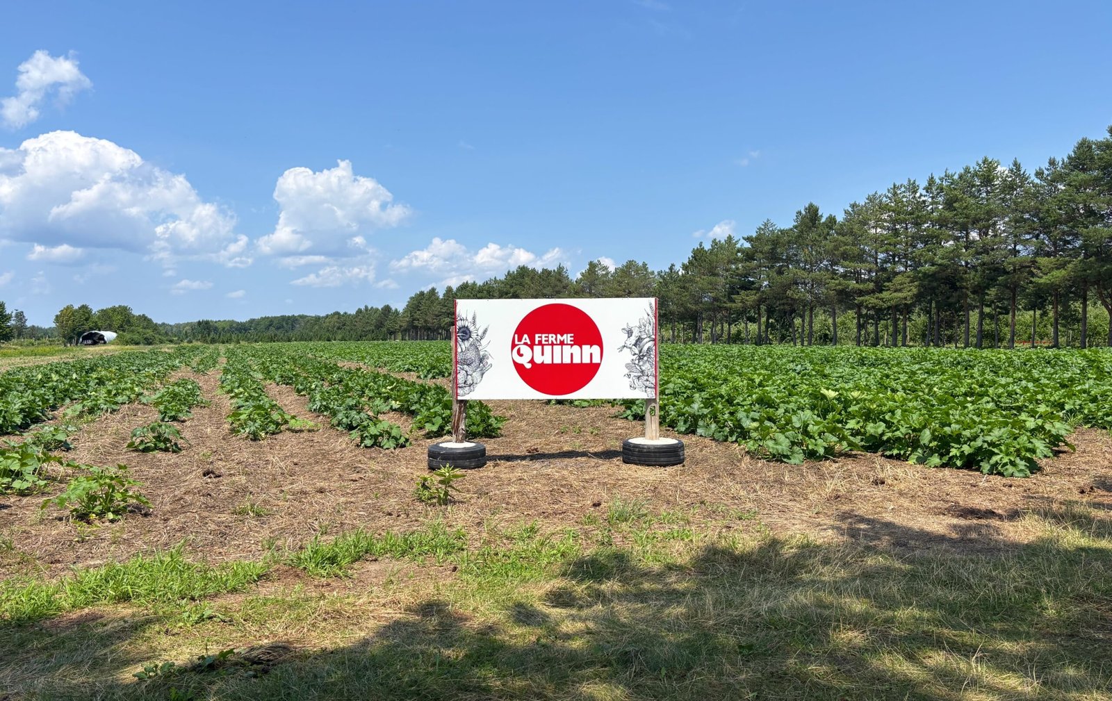 La Ferme Quinn sign in front of lush green rows of crops and trees under a sunny sky.