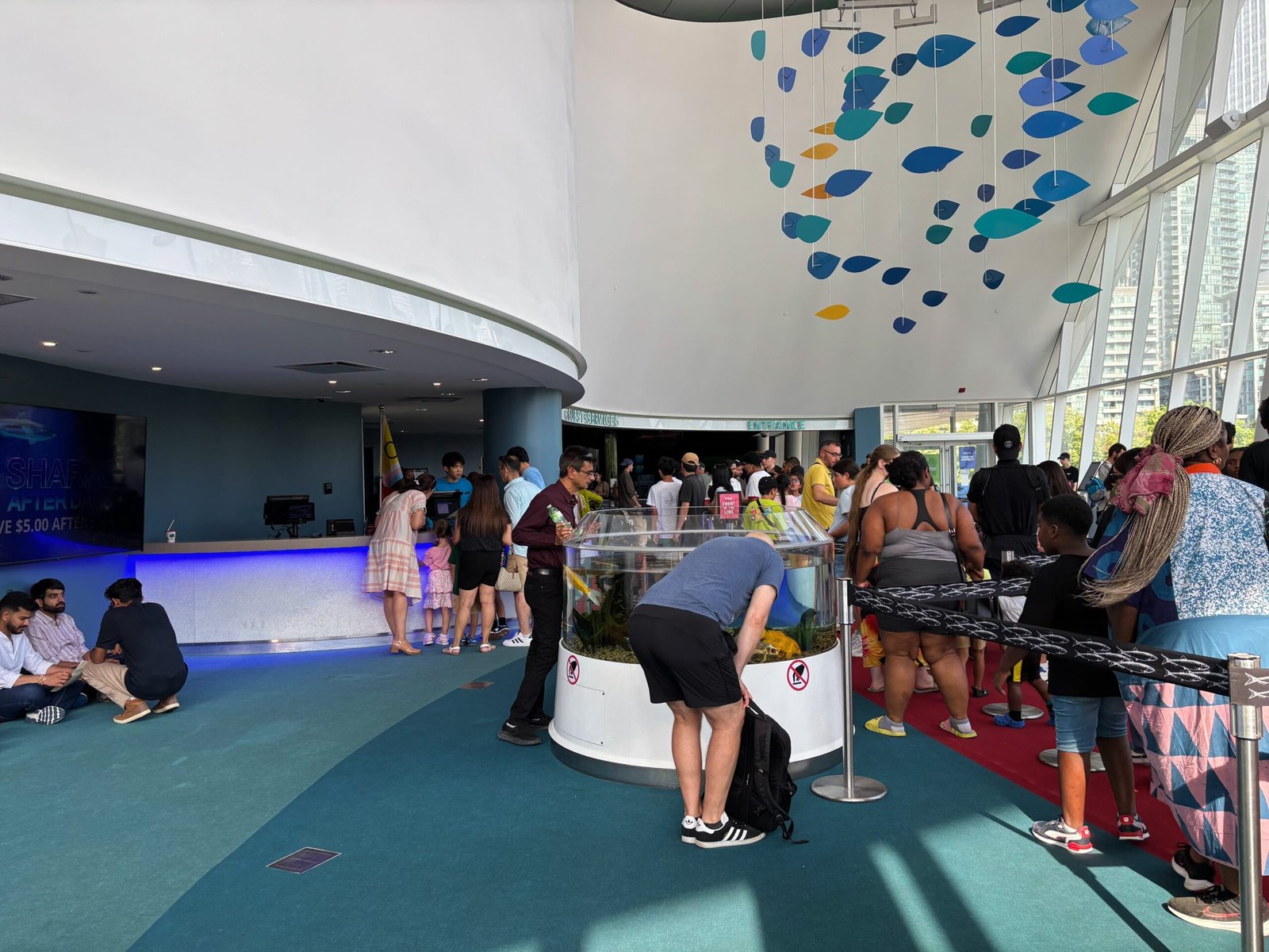 Lobby area of Ripley’s Aquarium with visitors in line, children looking at a small open tank, and colorful hanging decorations above.