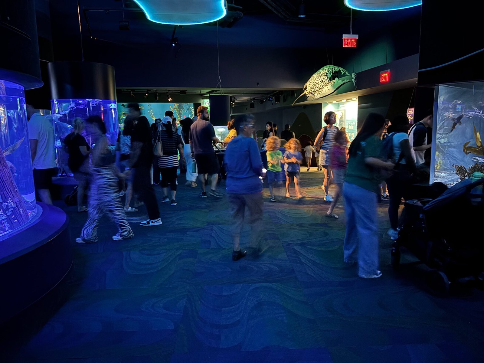 Crowds of visitors walking through the first dimly lit exhibit area, surrounded by glowing blue aquariums.