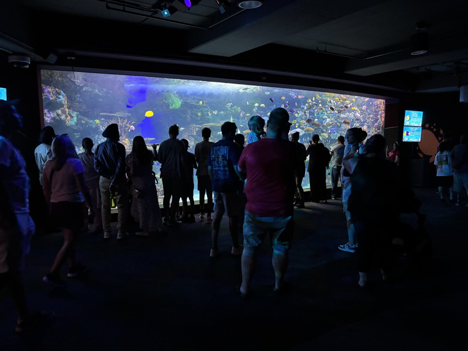 A wide viewing window filled with colorful tropical fish as a crowd of visitors look on.