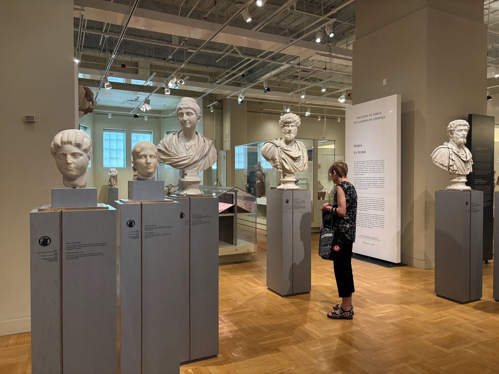 Marble busts from ancient Rome in the Royal Ontario Museum’s classical gallery.