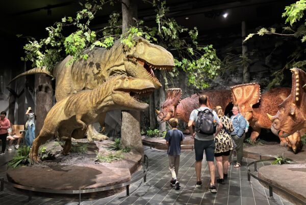 Realistic dinosaur models in a forest diorama with visitors observing