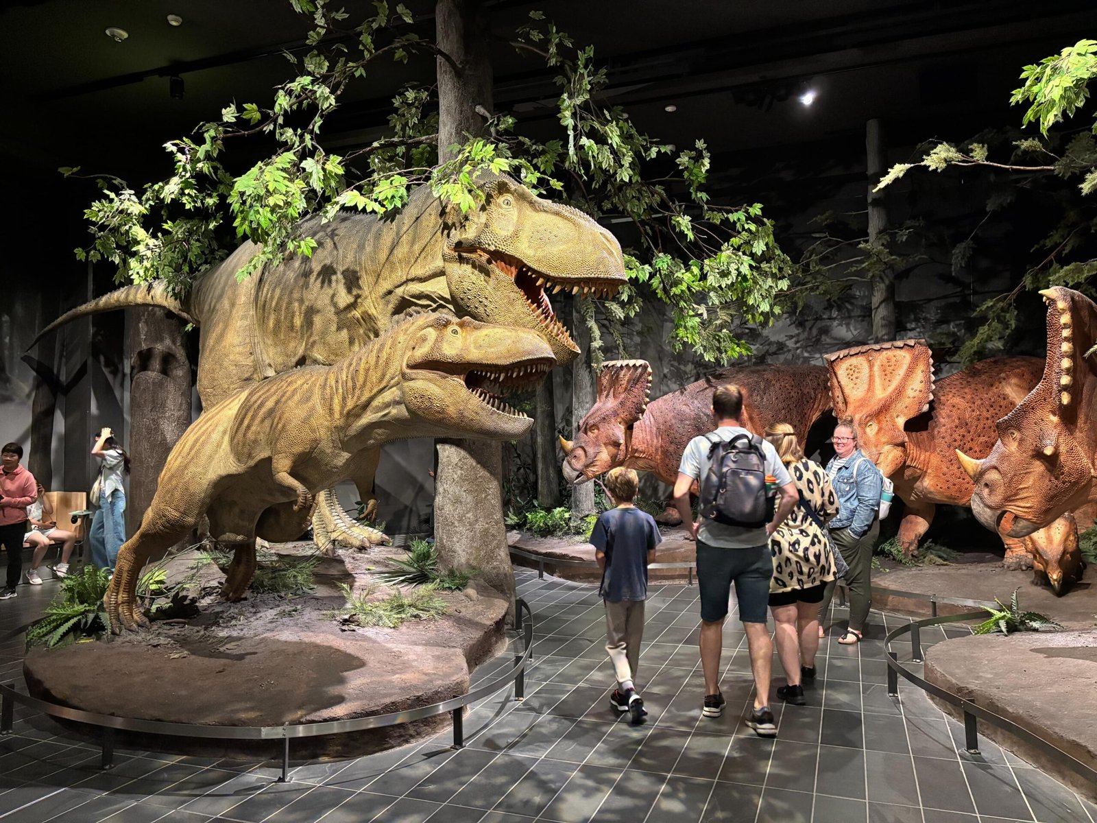 Realistic dinosaur models in a forest diorama with visitors observing