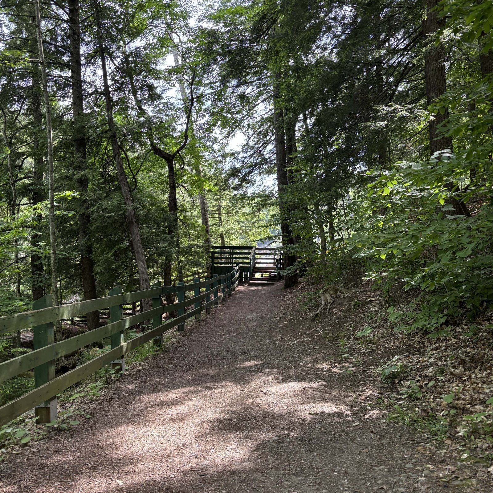 Forest trail with green railings leading to a lookout at Parc des Chutes Dorwin.