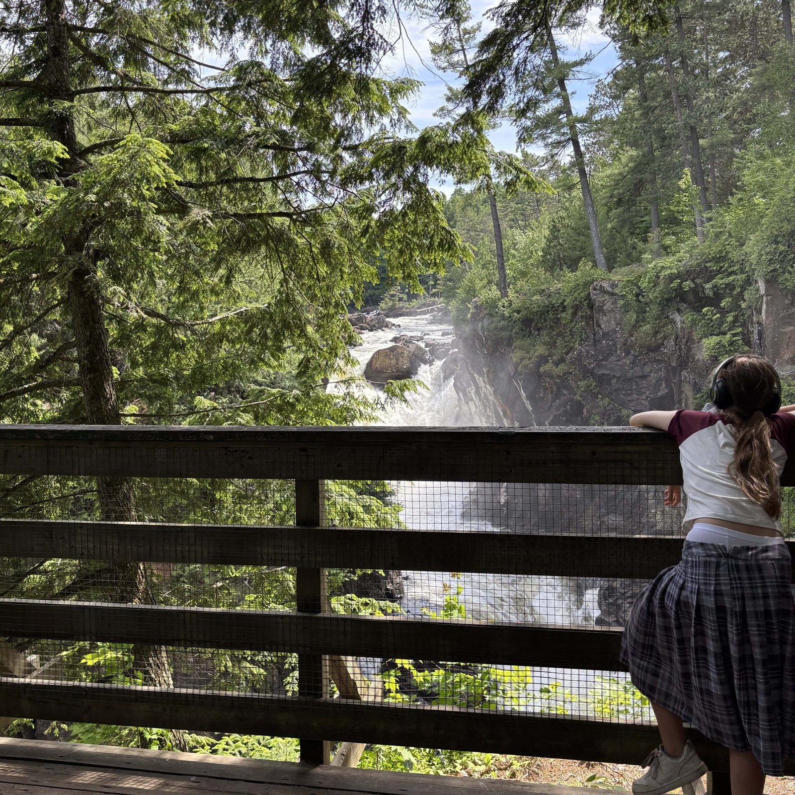 Girl leaning on a wooden railing watching Dorwin Falls through the trees.