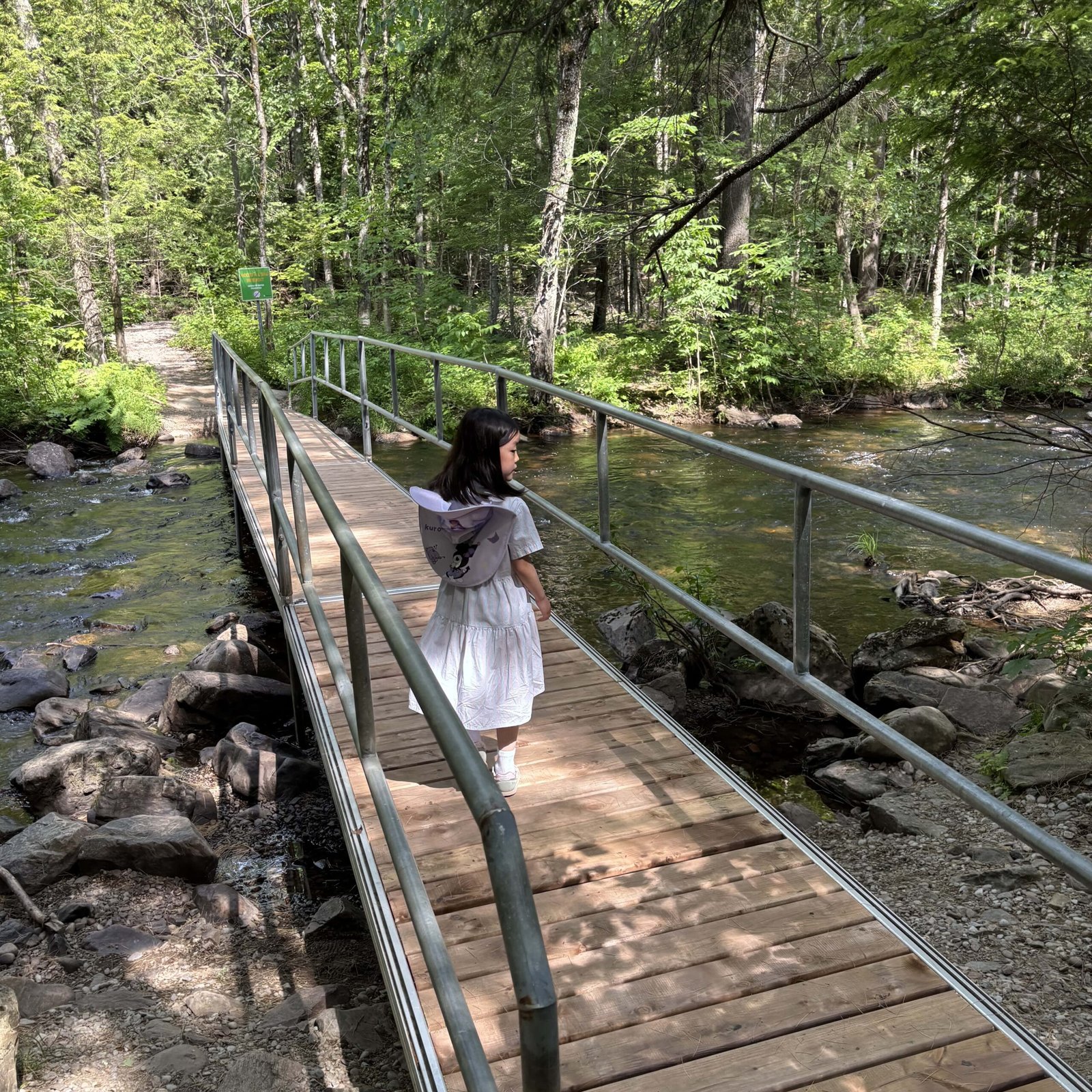 Young girl on a wooden footbridge over a shallow creek in Dorwin Falls Park.