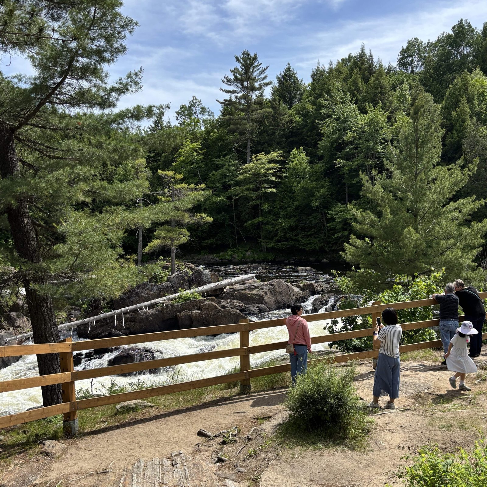 Visitors standing by a wooden fence looking at rapids and forest at Dorwin Falls.
