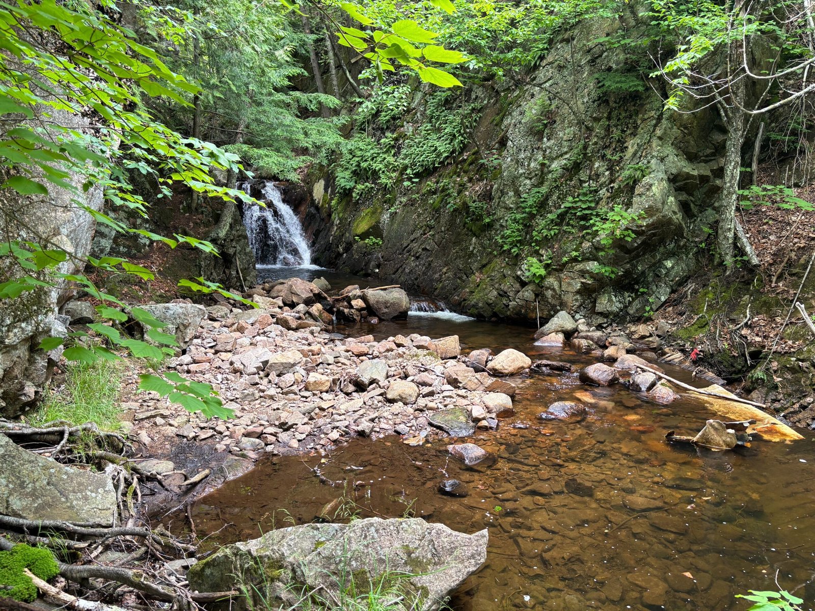 Small forest waterfall flowing into a rocky streambed along the Des Ruisseaux Loop trail in Mont-Tremblant.