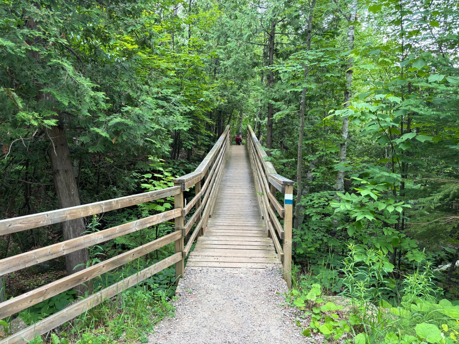 Wooden pedestrian bridge surrounded by green trees on the Les Ruisseaux Loop hiking trail in Mont-Tremblant.