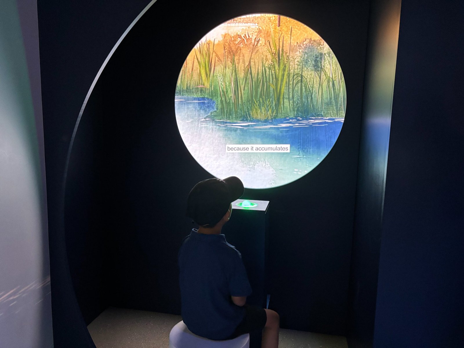 Child watching wetland habitat video projection at the Biosphere Museum in Montreal.