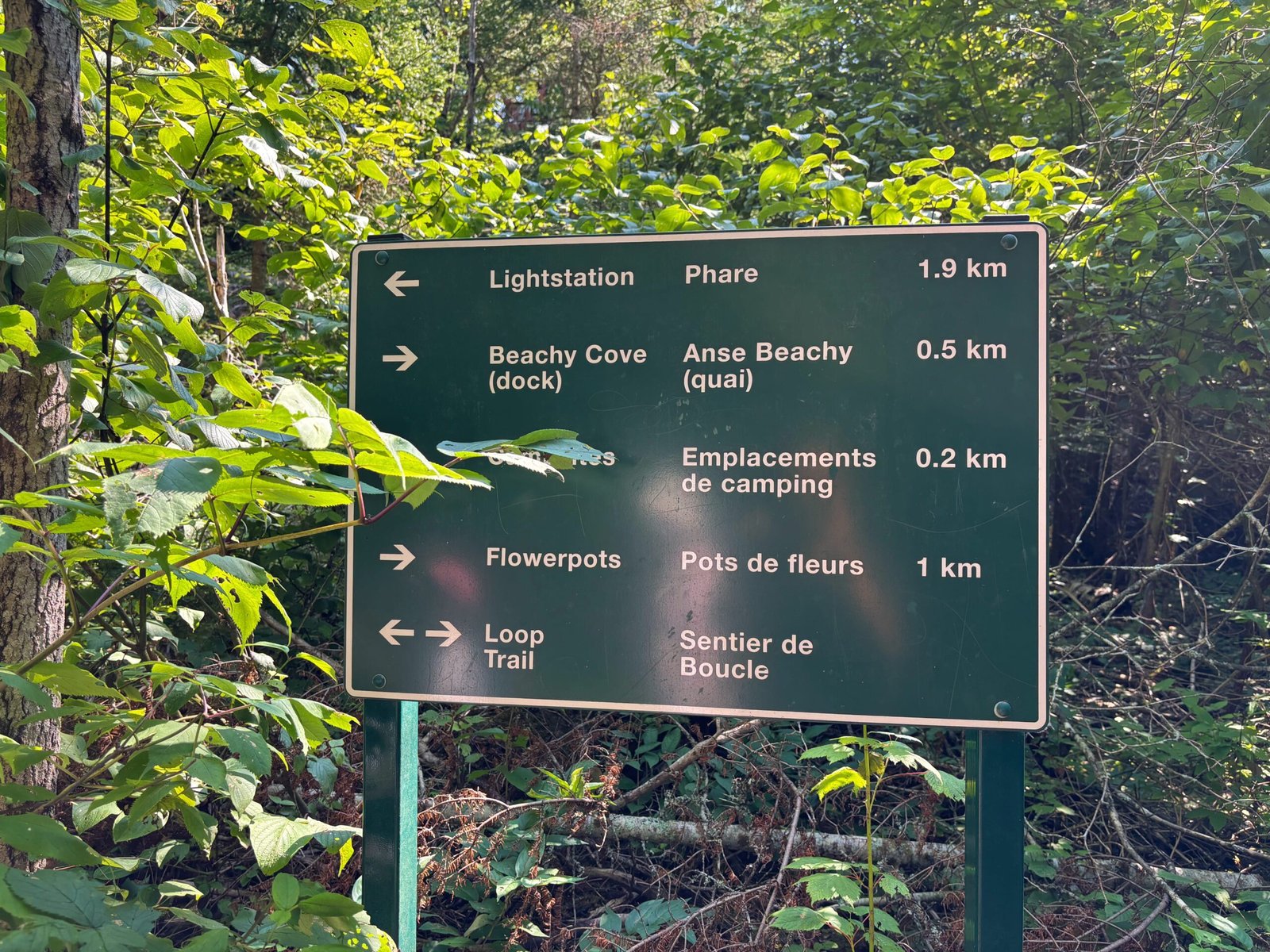 Directional sign in English and French showing distances to Lightstation, Beachy Cove, camping, Flowerpots, and Loop Trail