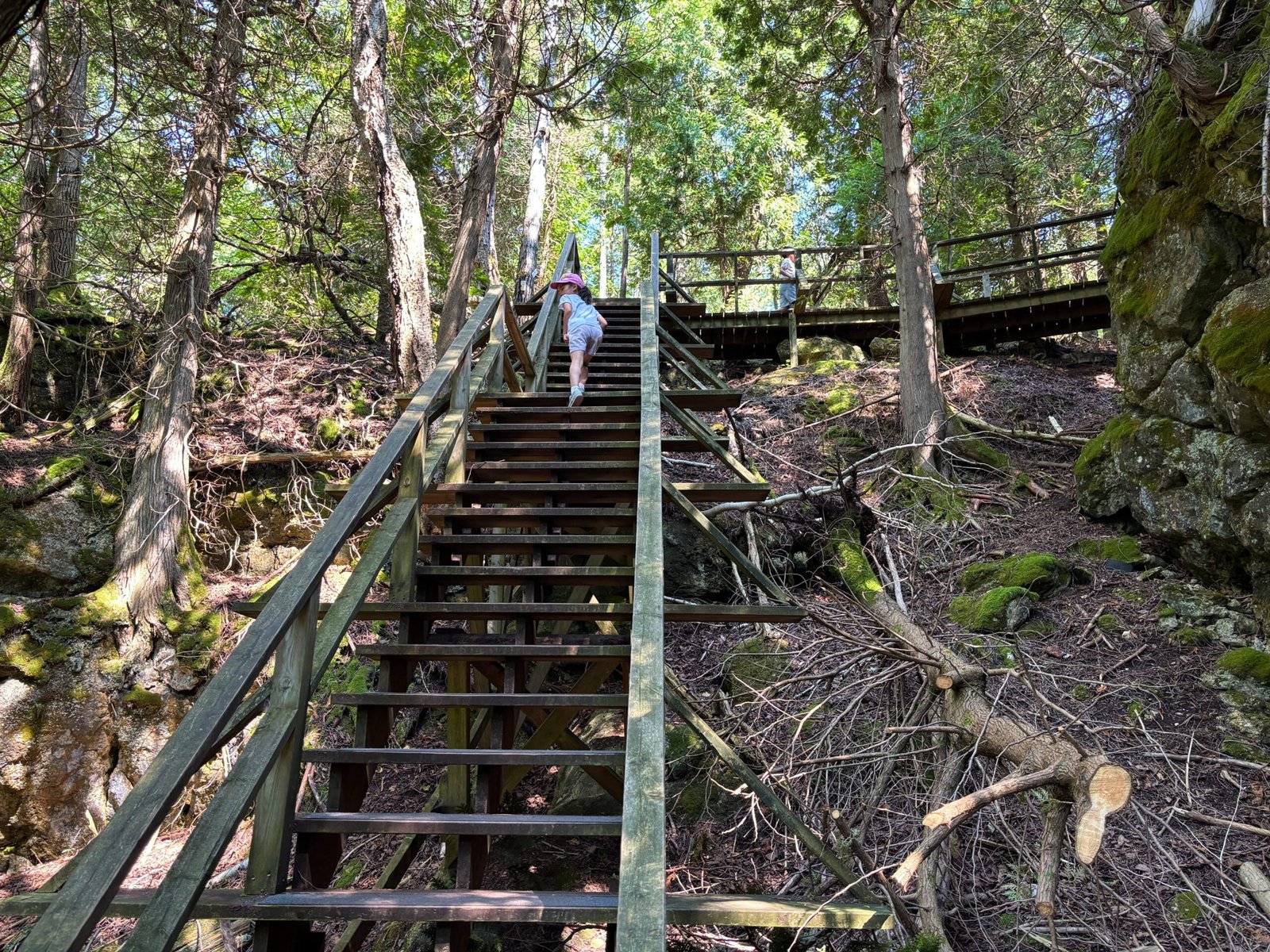 Wooden staircase climbing uphill through a forest, with a child walking up the steps.