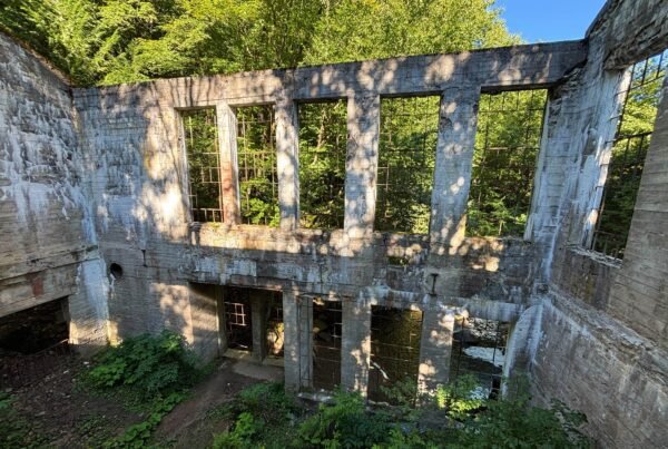 Interior view of Carbide Willson Ruins with tall concrete walls and open window frames surrounded by forest.