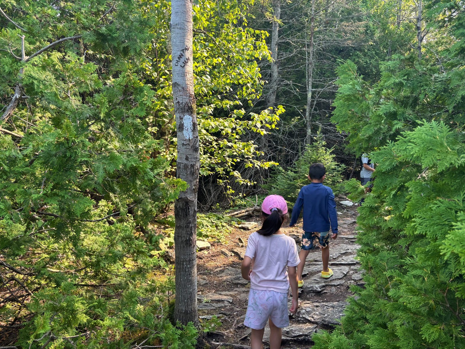 Children hiking along a rocky forest path with a white trail marker painted on a tree in Bruce Peninsula National Park.
