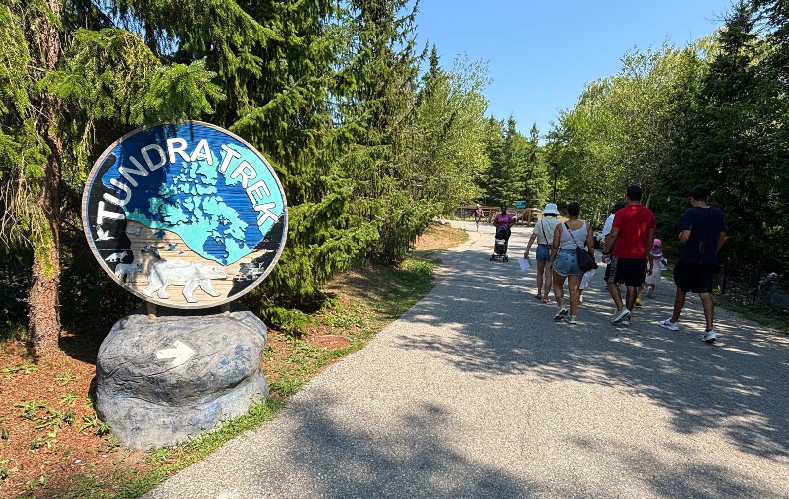 Wooden Tundra Trek sign with polar bear carving at the Toronto Zoo.
