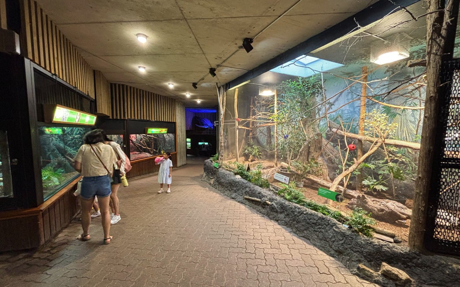 Indoor reptile and amphibian exhibit with visitors looking at enclosures containing animals and plants.