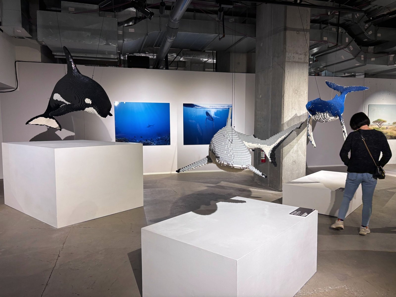 Art of the Brick Montreal Review: Is It Worth It for Families?